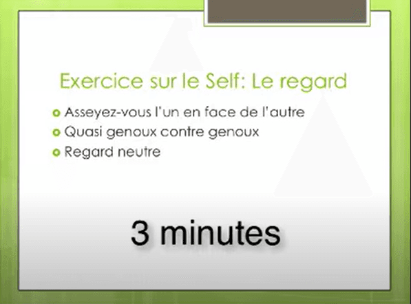 Exercice n°2 sur le Self: Le regard et questions