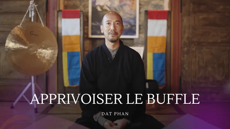 Apprivoiser le Buffle