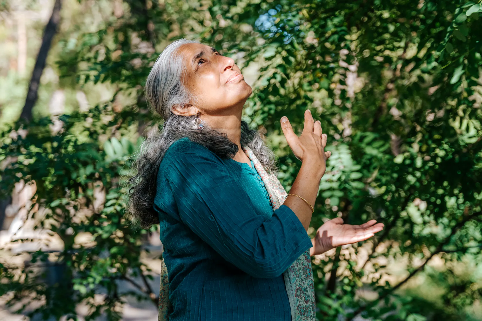 Yashi, les yeux tournés vers le ciel, dans la forêt